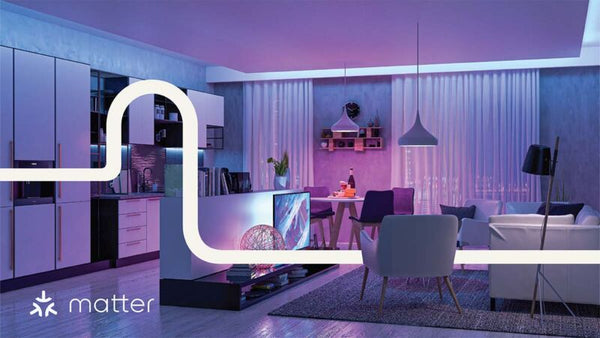 Exploring the Matter Smart Home Protocol: Interconnectivity and Innovation