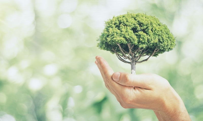 Are Smart Homes Environment Friendly? Answered